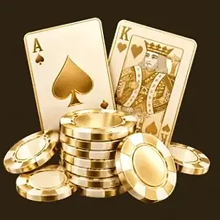 Poker playing cards — Roospin